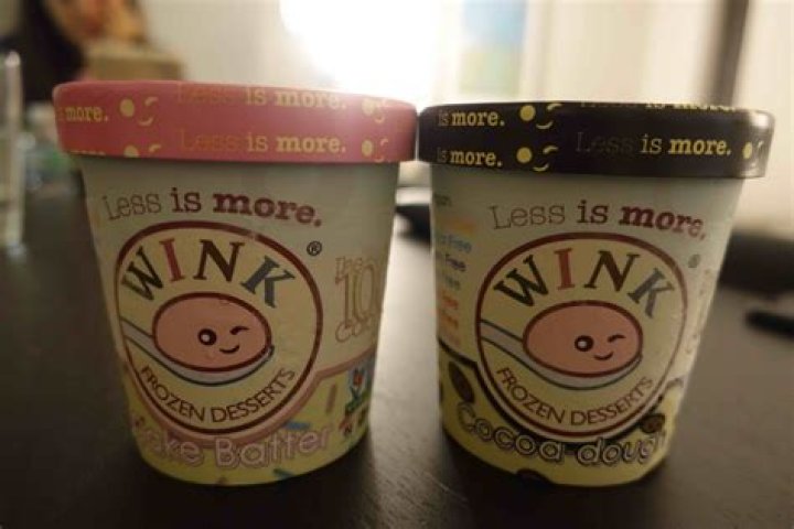 Discover the Sweet Success: Wink Ice Cream's Net Worth Revealed